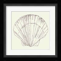 Coastal Breeze Shell Sketches V Silver Framed Print