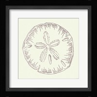 Coastal Breeze Shell Sketches IV Silver Fine Art Print