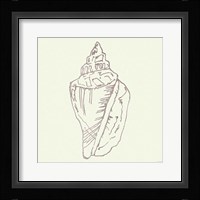 Coastal Breeze Shell Sketches III Silver Framed Print