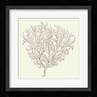 Coastal Breeze Shell Sketches I Silver Framed Print