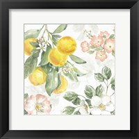 Citrus Charm VI Fine Art Print