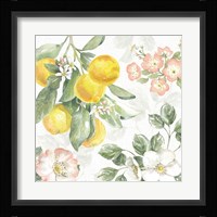 Citrus Charm VI Framed Print