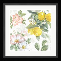 Citrus Charm V Framed Print