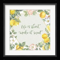 Citrus Charm II Framed Print