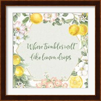 Citrus Charm III Fine Art Print