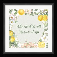 Citrus Charm III Framed Print