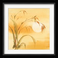 Moon Season Summer Framed Print