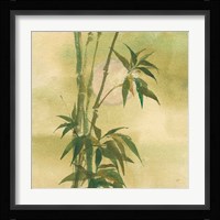 Moon Season Spring Fine Art Print