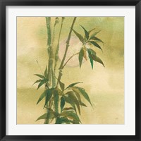 Moon Season Spring Framed Print