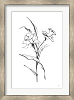 Line Daffodil Fine Art Print