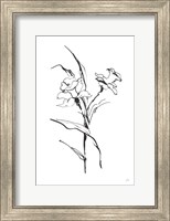 Line Daffodil Fine Art Print