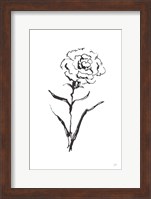 Line Carnation I Fine Art Print