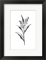 Line Lily of the Valley II Fine Art Print