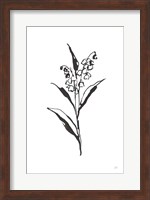 Line Lily of the Valley II Fine Art Print