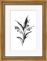 Line Lily of the Valley I Fine Art Print