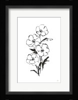 Line Anemone I Fine Art Print