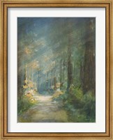 Sun Soaked Redwoods Fine Art Print
