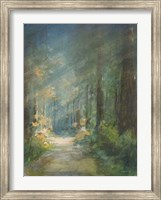 Sun Soaked Redwoods Fine Art Print