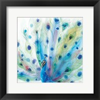 Peacock Glory V Fine Art Print