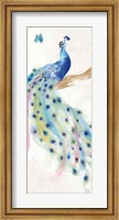 Peacock Glory II Fine Art Print