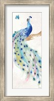 Peacock Glory II Fine Art Print