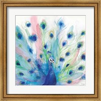 Peacock Glory IV Fine Art Print