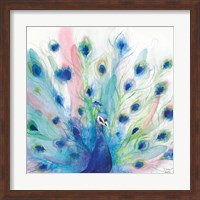 Peacock Glory IV Fine Art Print