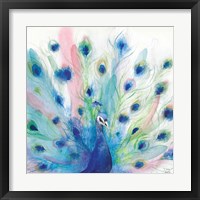Peacock Glory IV Fine Art Print