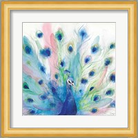 Peacock Glory IV Fine Art Print