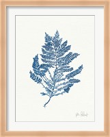 Sea Garden III Royal Blue Fine Art Print