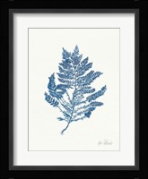 Sea Garden III Royal Blue Framed Print