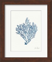 Sea Garden II Royal Blue Fine Art Print