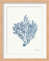 Sea Garden II Royal Blue Fine Art Print