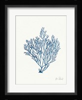 Sea Garden II Royal Blue Framed Print