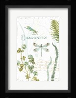 My Greenhouse Botanical Dragonfly Framed Print