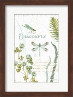My Greenhouse Botanical Dragonfly Fine Art Print