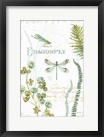 My Greenhouse Botanical Dragonfly Framed Print