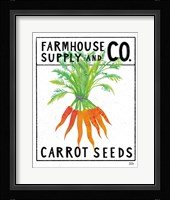 Kitchen Garden Seed Packet IV Framed Print