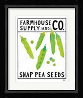 Kitchen Garden Seed Packet II Fine Art Print