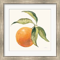 Le Orange on Cream Fine Art Print