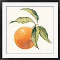Le Orange on Cream Fine Art Print