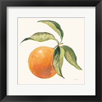 Le Orange on Cream Framed Print