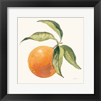 Le Orange on Cream Fine Art Print