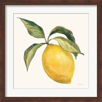 Le Citron on Cream Fine Art Print