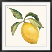 Le Citron on Cream Fine Art Print