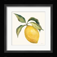 Le Citron on Cream Framed Print