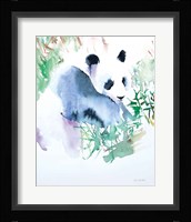 Panda Fine Art Print