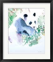 Panda Fine Art Print
