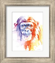Chimpanzee II Fine Art Print