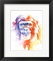 Chimpanzee II Fine Art Print